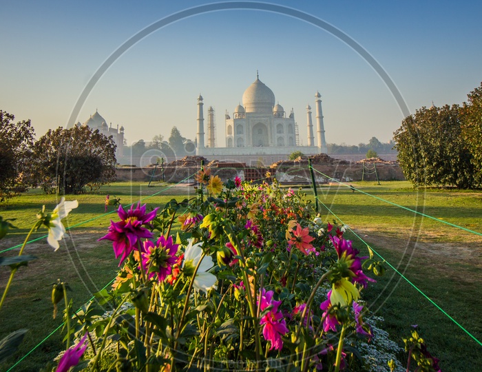 Blossom View of Taj