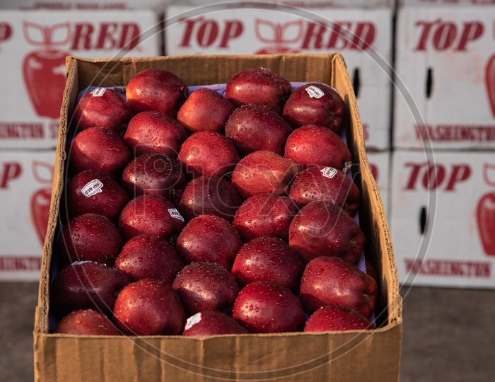 Top Red Brand Red Washington Apples