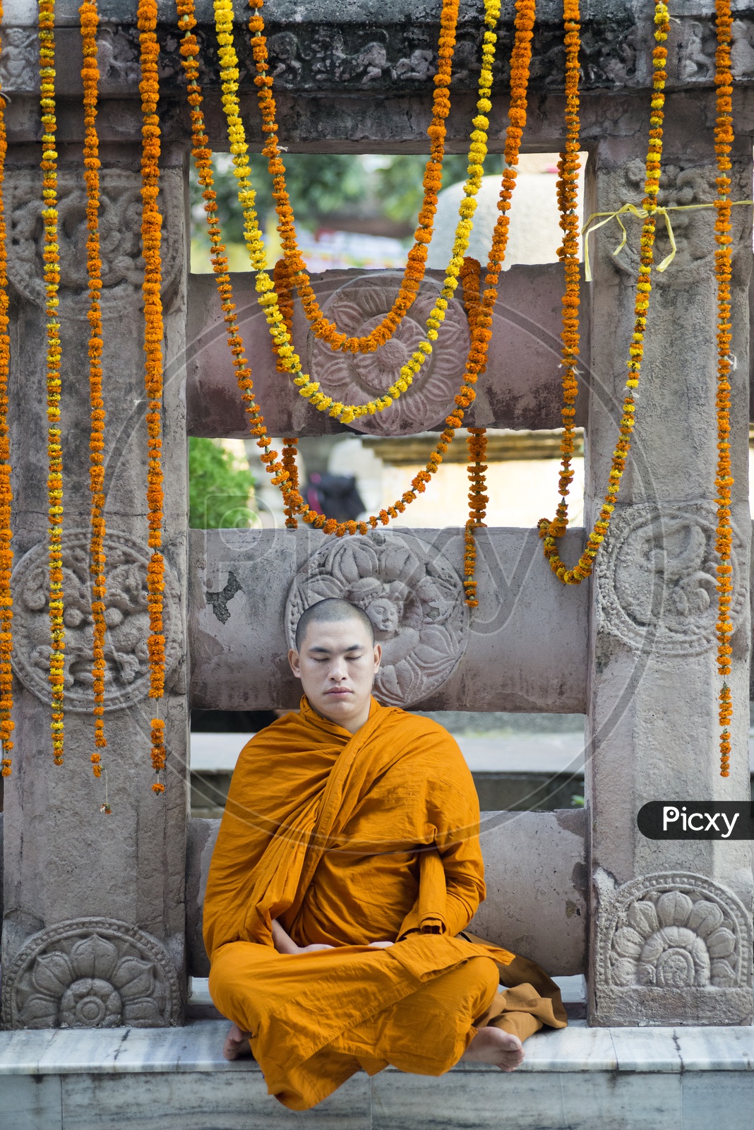 Buddhist Monk praying at Mahabodhi Temple, Bodh Gaya