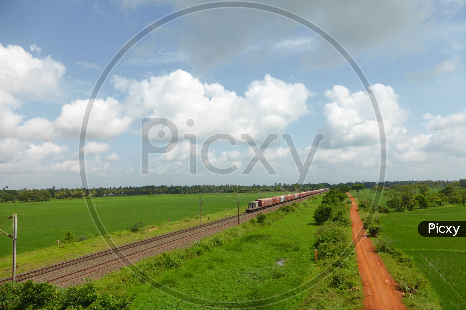 Goods Train Passing through Lush Green Agriculture Fields