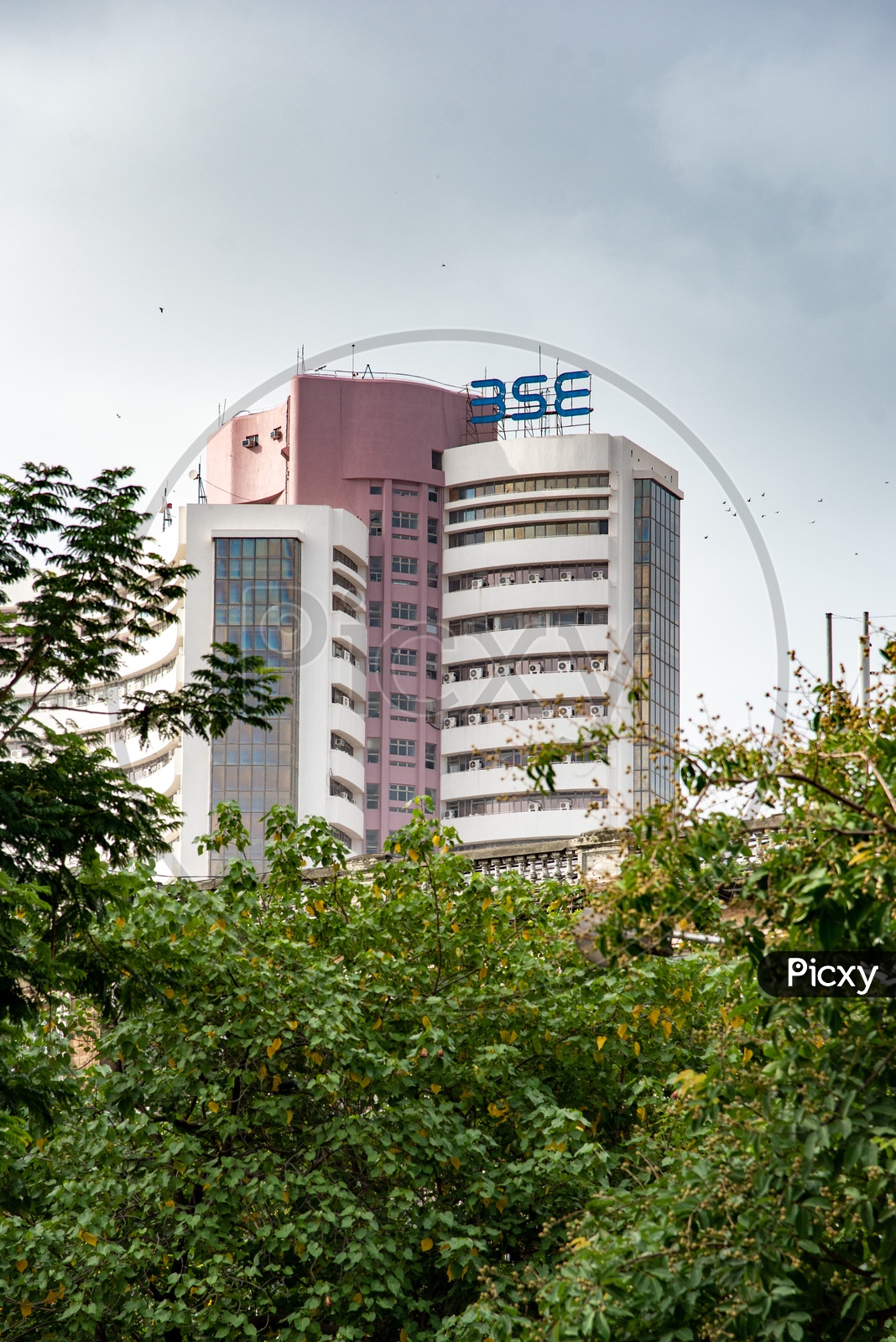 Bombay Stock Exchange / BSE / NSE