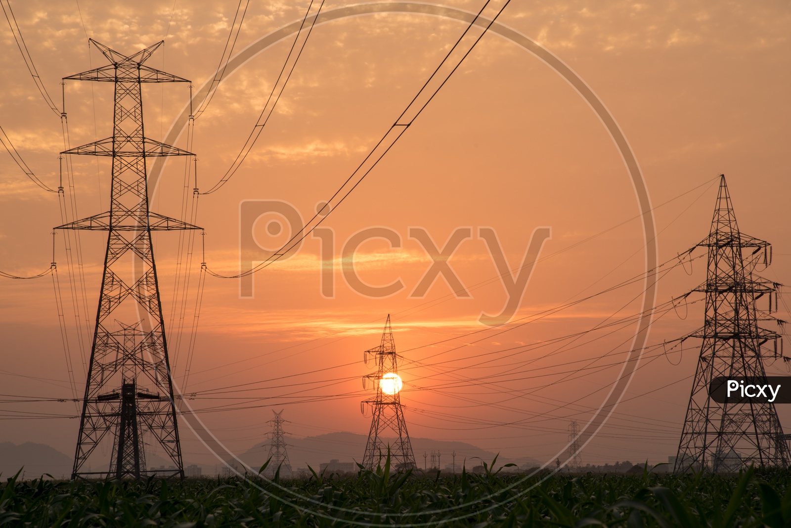 Electricity poles/towers