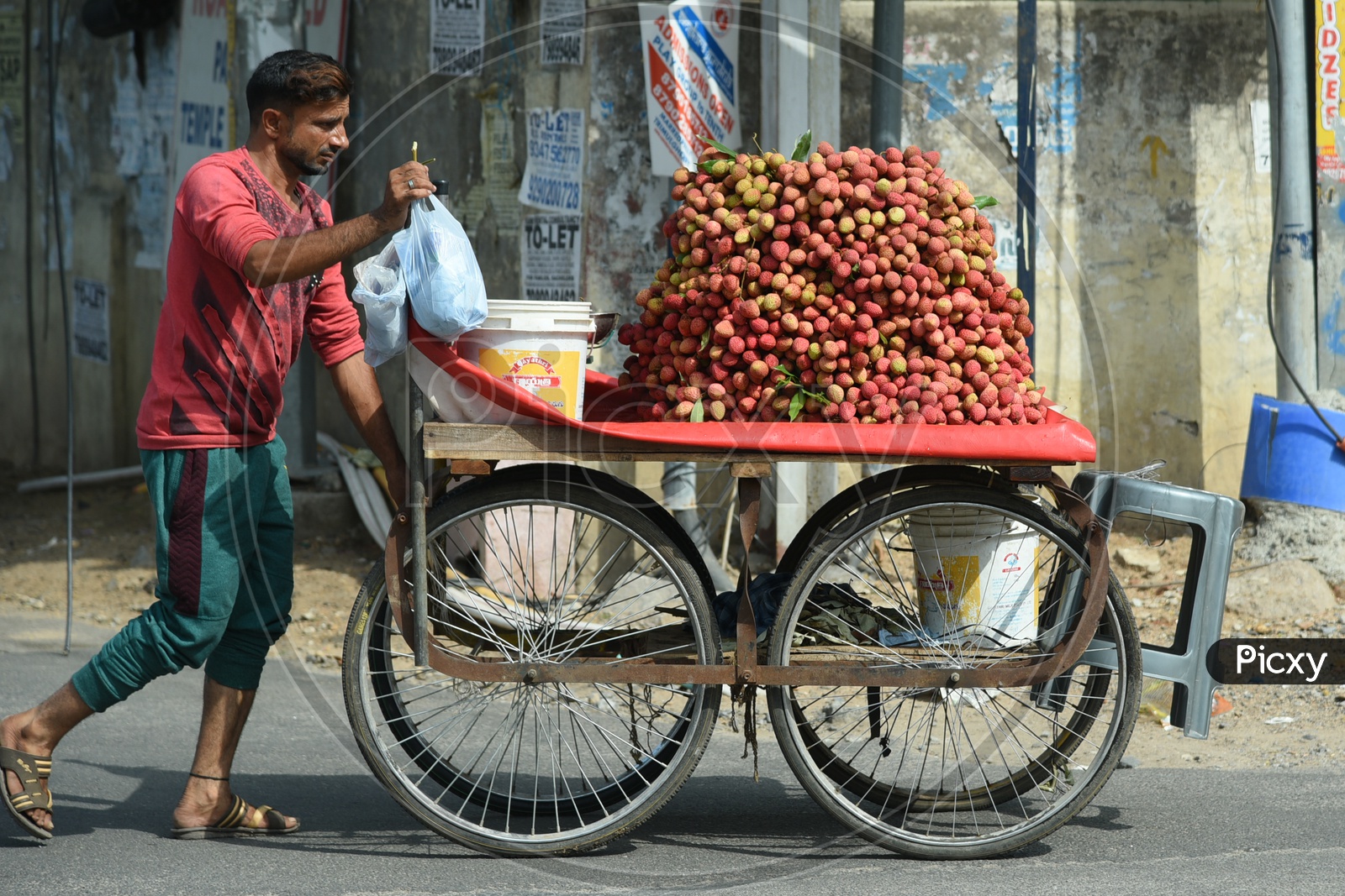 Vendor selling Litchi Fruit