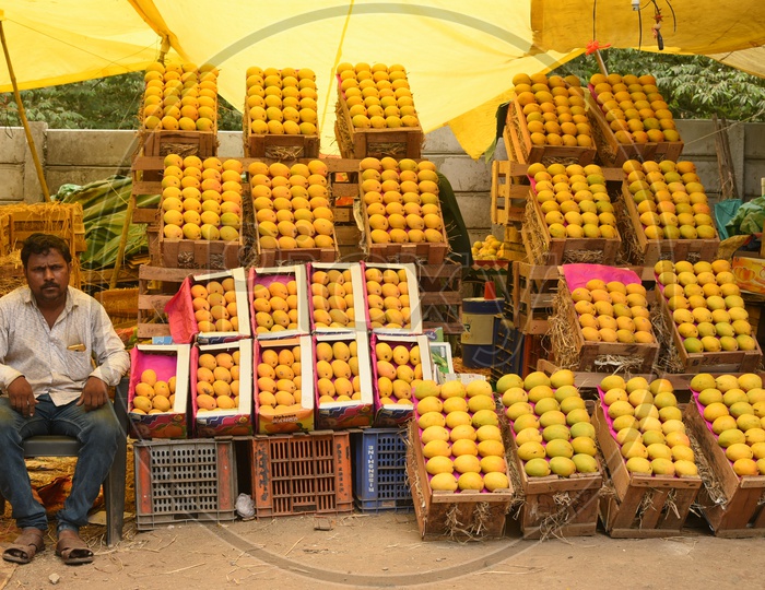 Vendor selling Mangoes