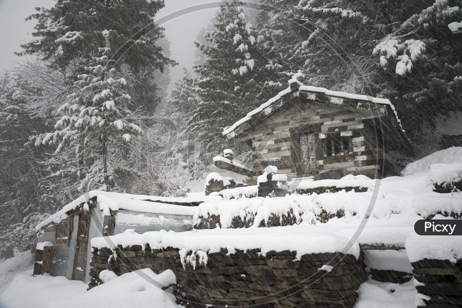 Snow Capped House at Jana Village near Manali
