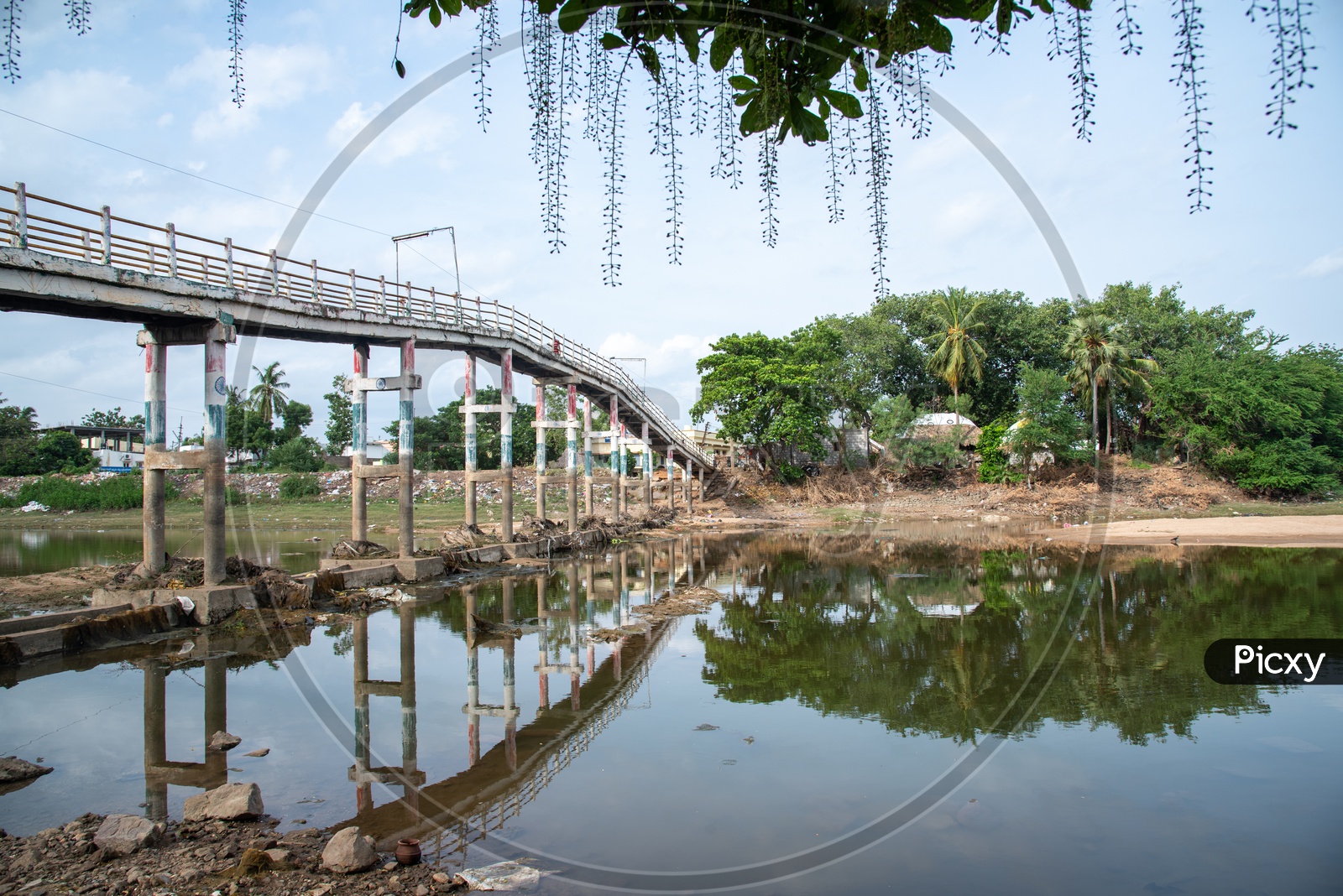 Reflection of a Bridge on Buckingham Canal in Revendrapadu