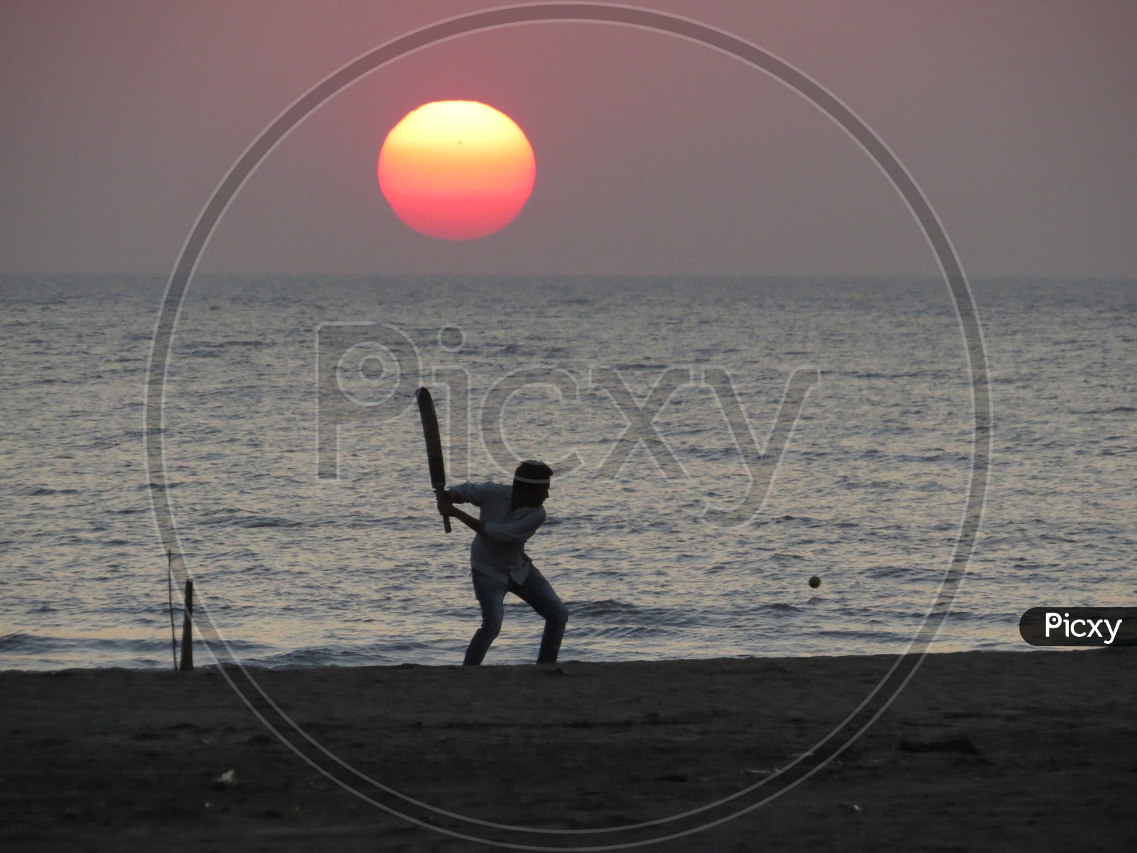 Cricket on the beach