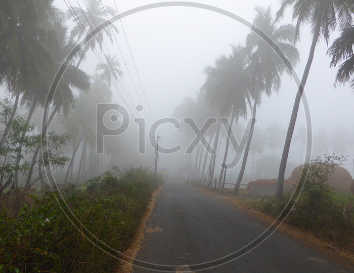 Fog Covered Roads