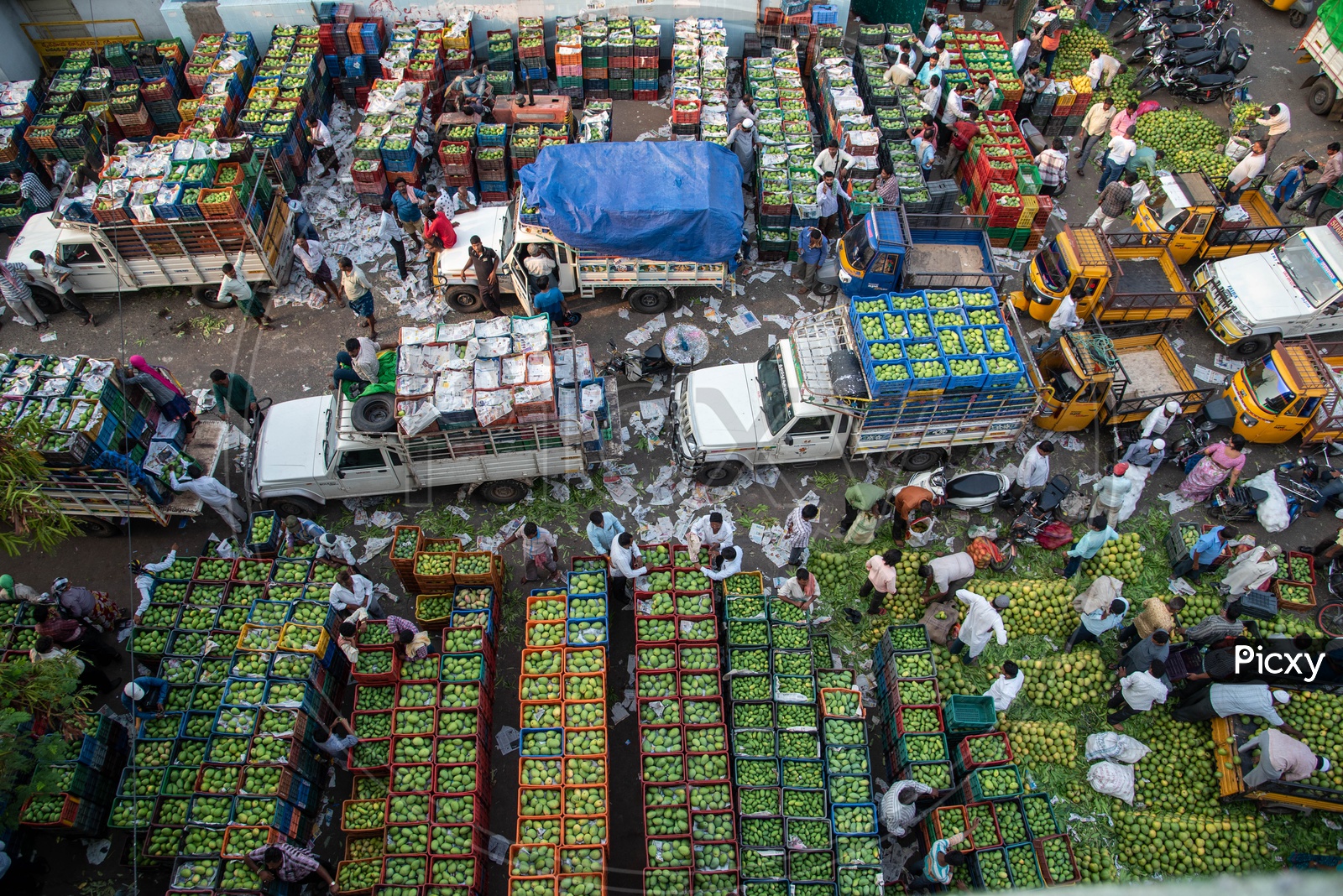 Fruit market buzzing with sale of mangoes