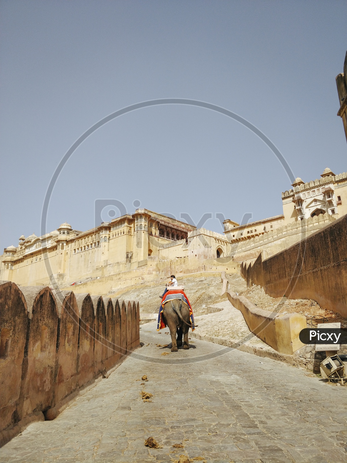 Elephant Ride at Amer Fort