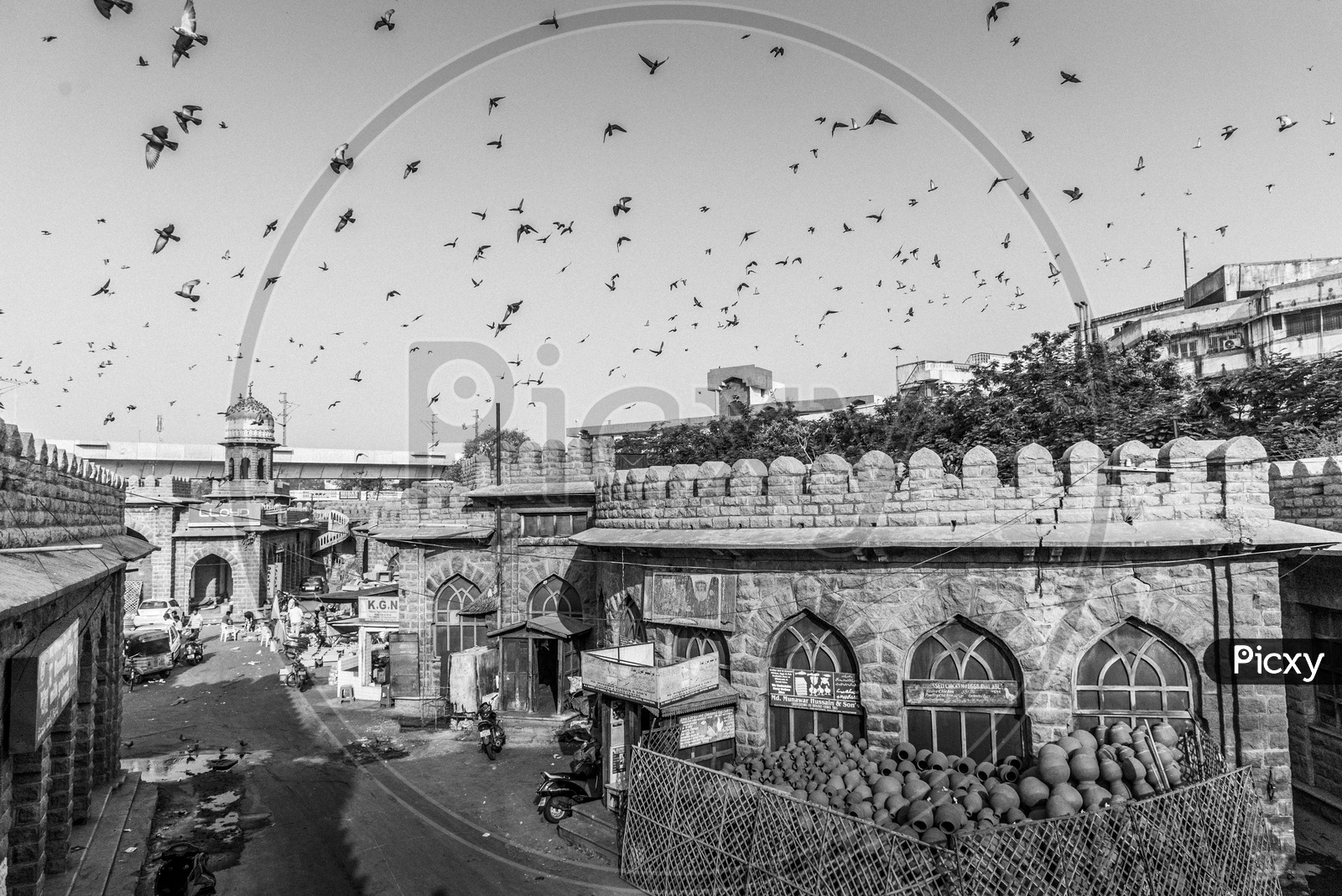 Birds flying at Mozamjahi Market