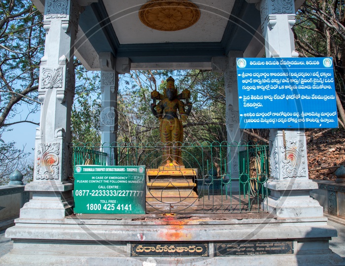 Varahavatar of  Lord Venkateswara Swamy , Tirupati