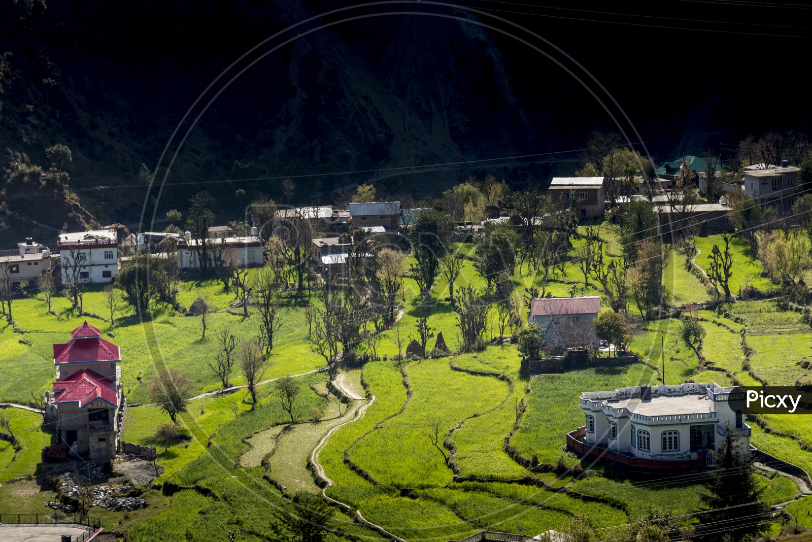 Houses surrounded by greenery in Chamba, Himachal Pradesh
