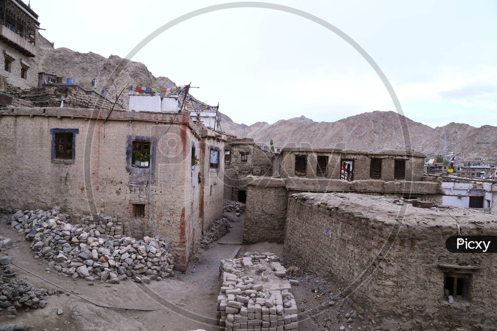 Leh Palace livelyhood. filled with houses built with stones
