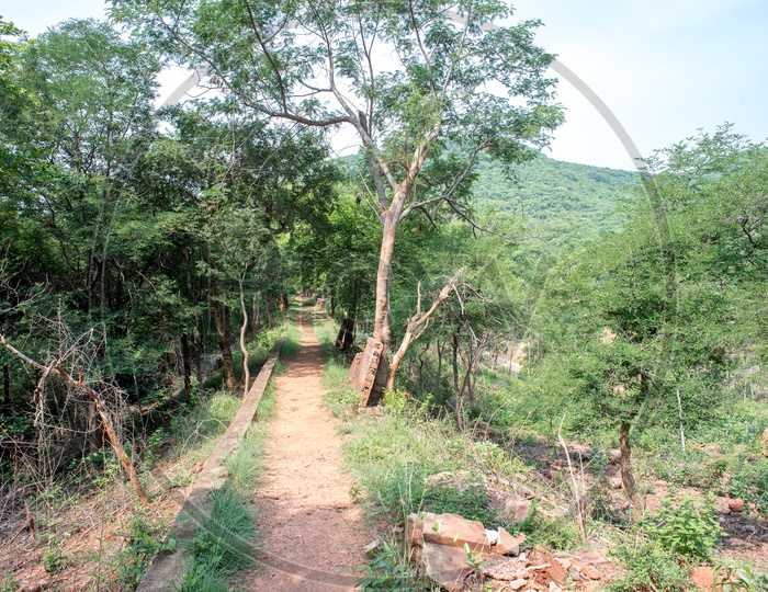 trekking path