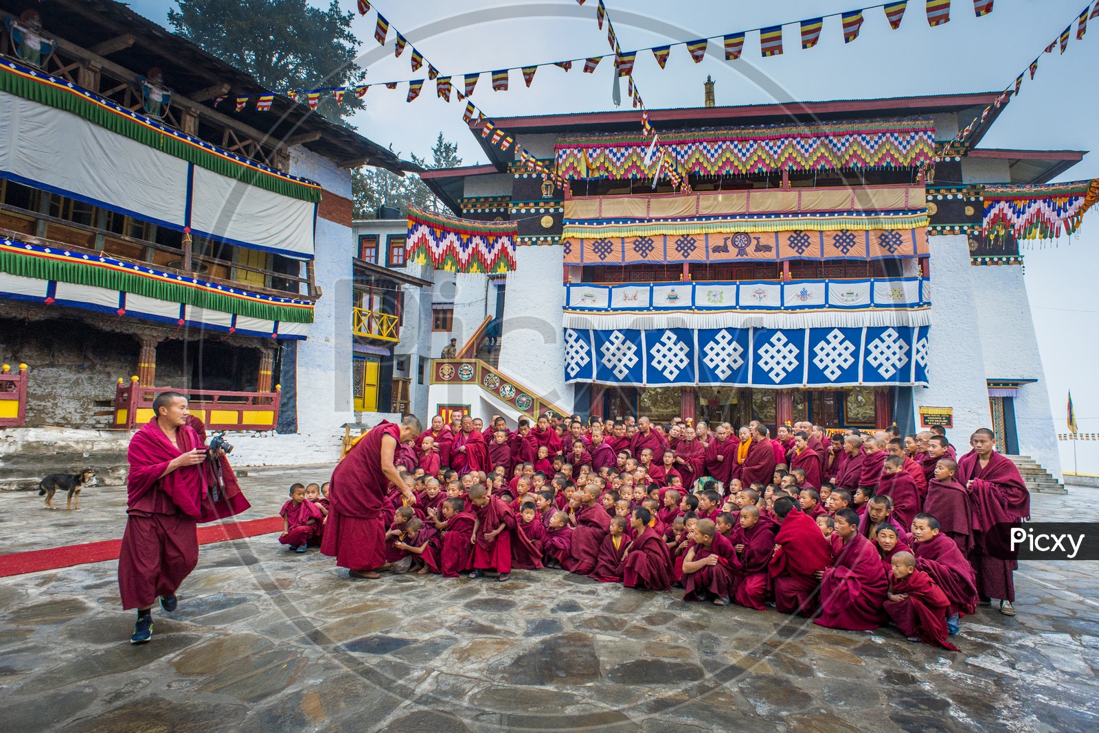 Monastery Kids in Arunachal Pradesh