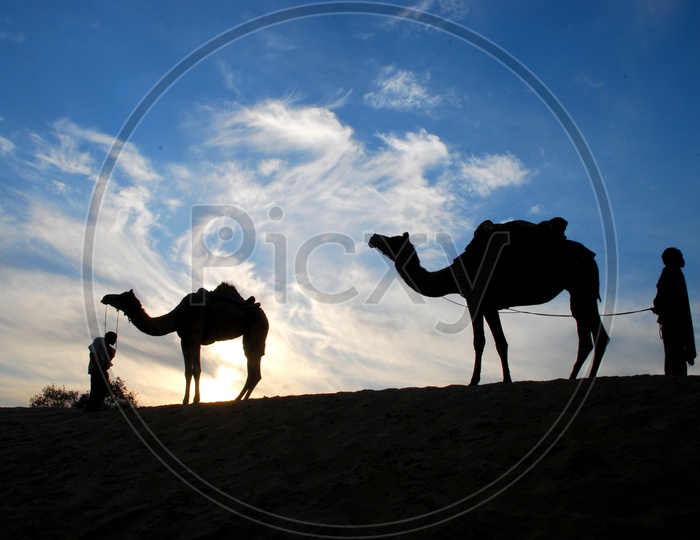 The Silhouette Of Rajasthan