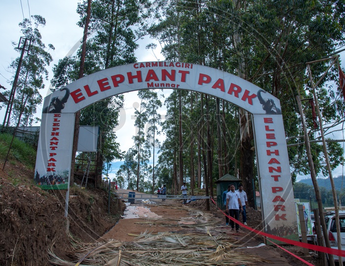 Carmelagiri Elephant Park, Munnar.