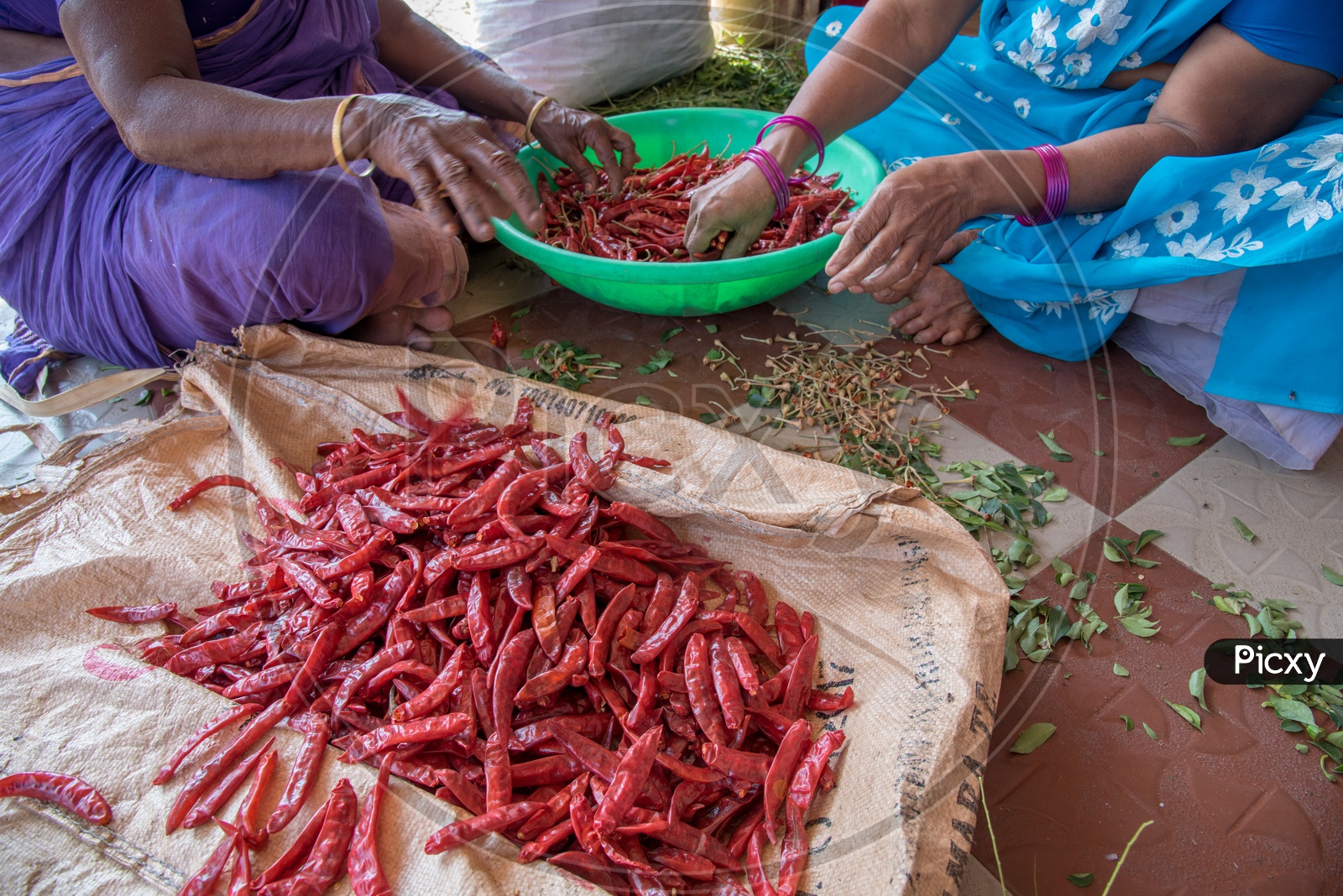 Slicing Red Chillies