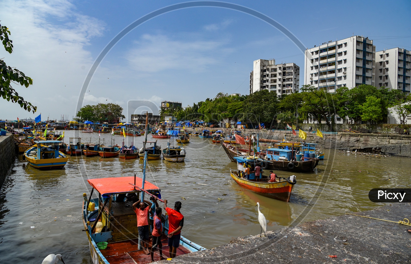 Fishing Boats at Sasoon Dock