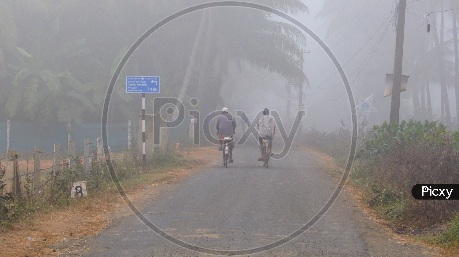 Fog Covered roads