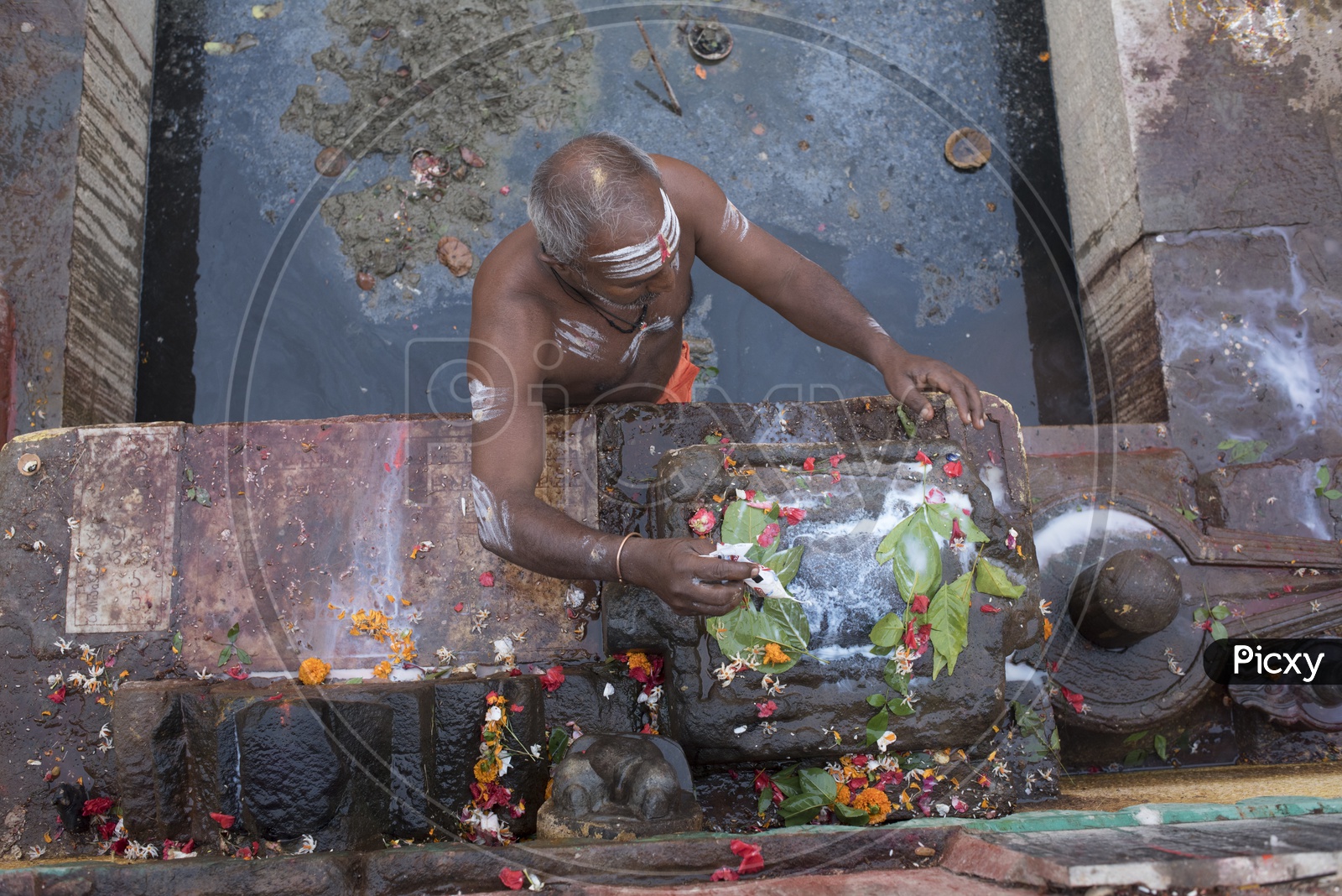 Hindu Priest Pouring milk on Lord Shiva