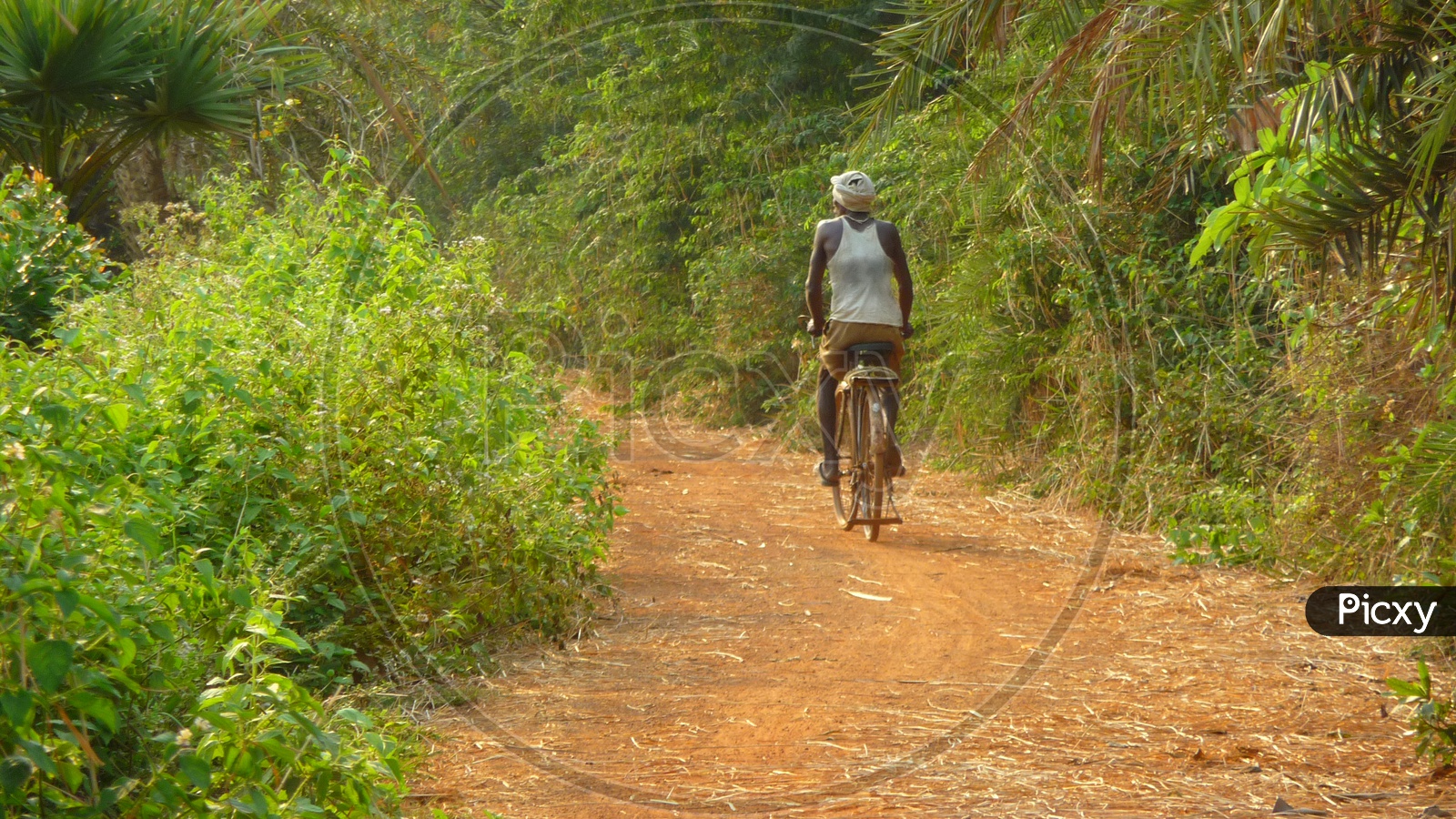 Farmer on Bicycle