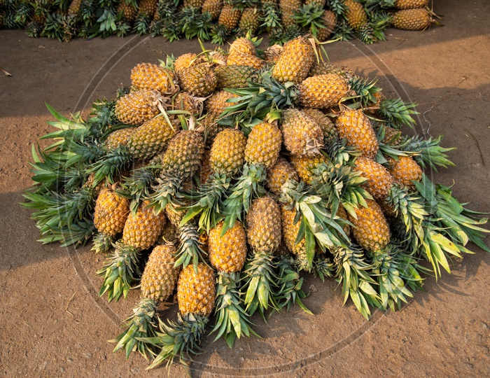Pineapple at Fruit Market