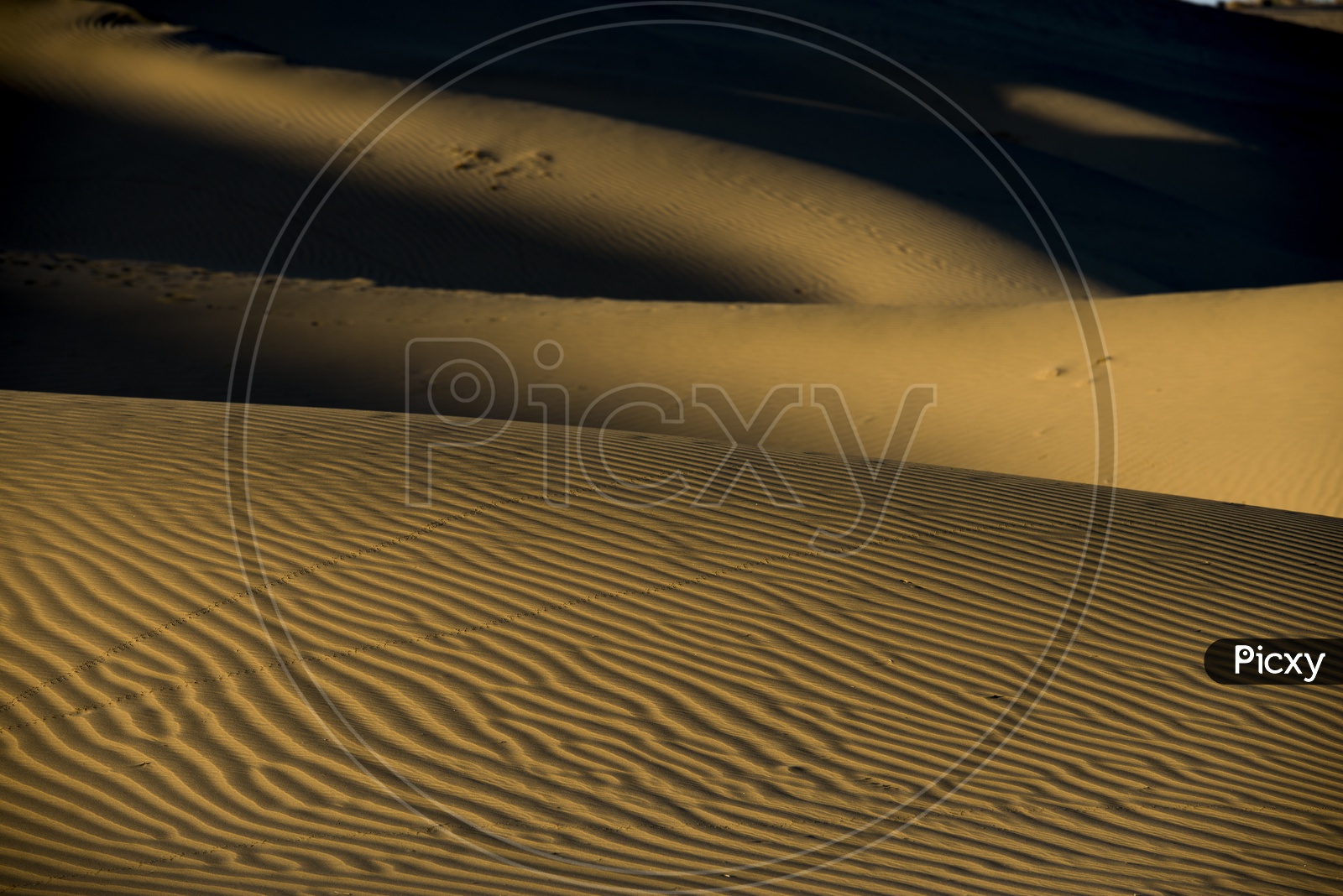 Sand Dunes in Thar Desert, Rajasthan