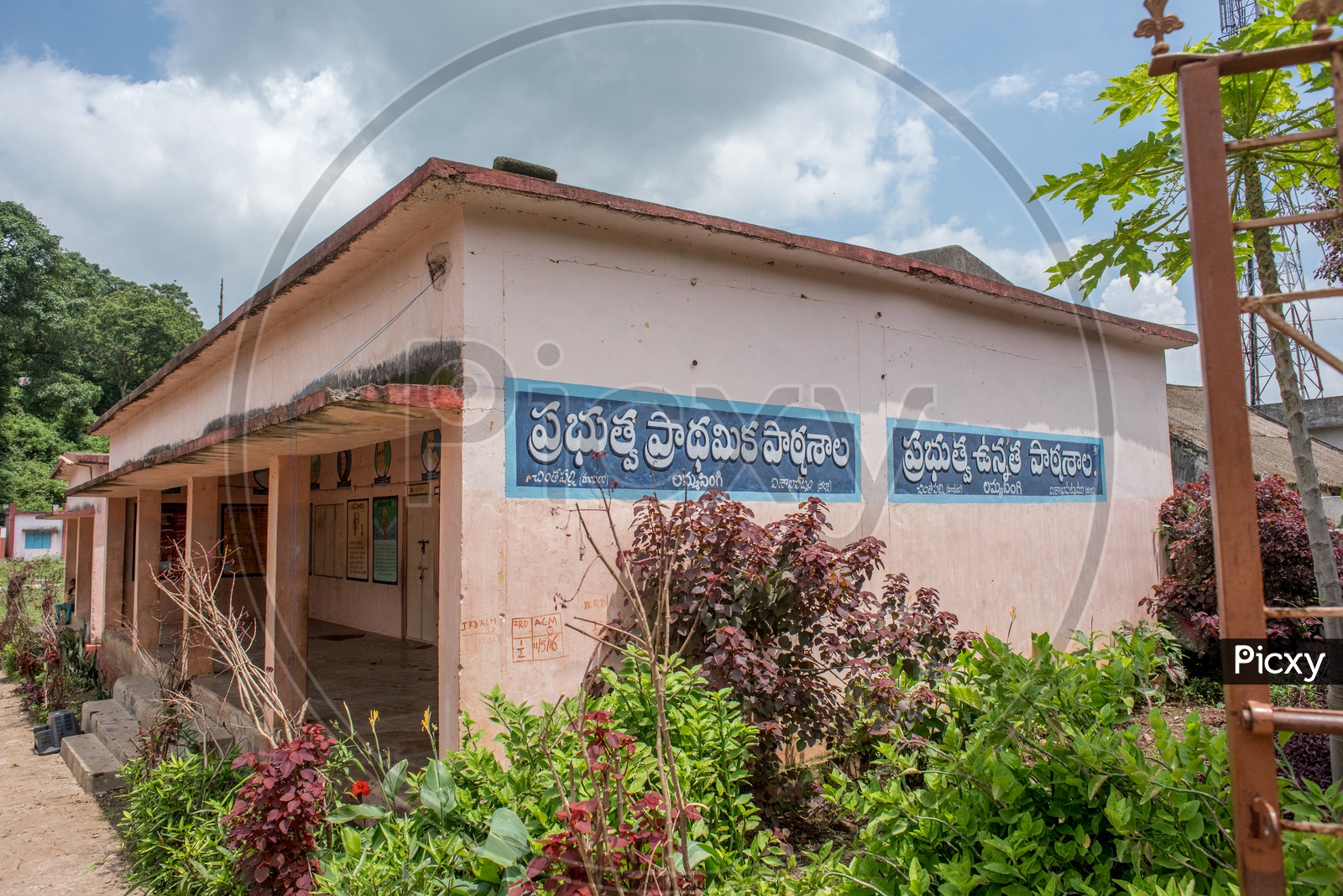 Government school in lambasingi