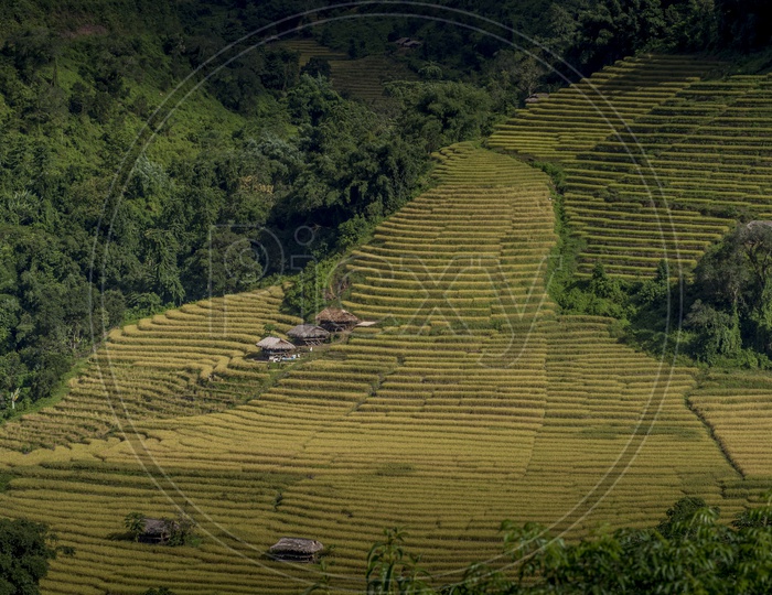 Agriculture Fields in Aalo to Pasighat, Arunachal Pradesh