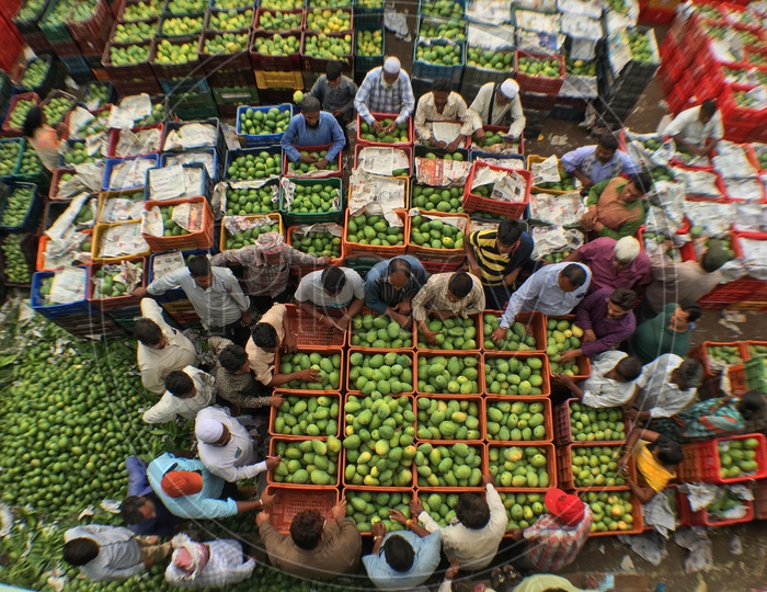Fruit Market/Mango Market/Farmer's Market/Raithu Bazar/Rythu Bazar