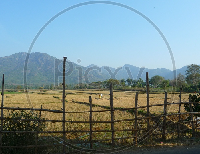 Agriculture fields in Seethampeta