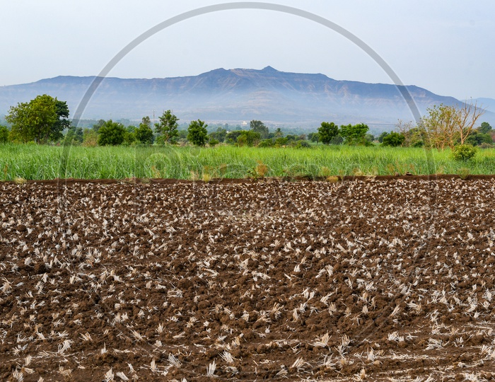Ploughed farm fields before monsoon.