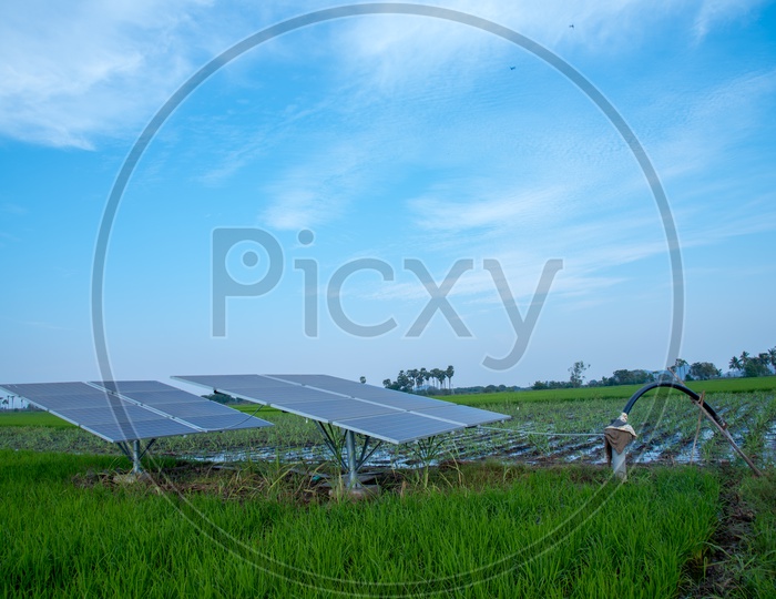 Solar panels sponsored by Govt. of AP installed in a farm near Gunadala IRR,Vijayawada