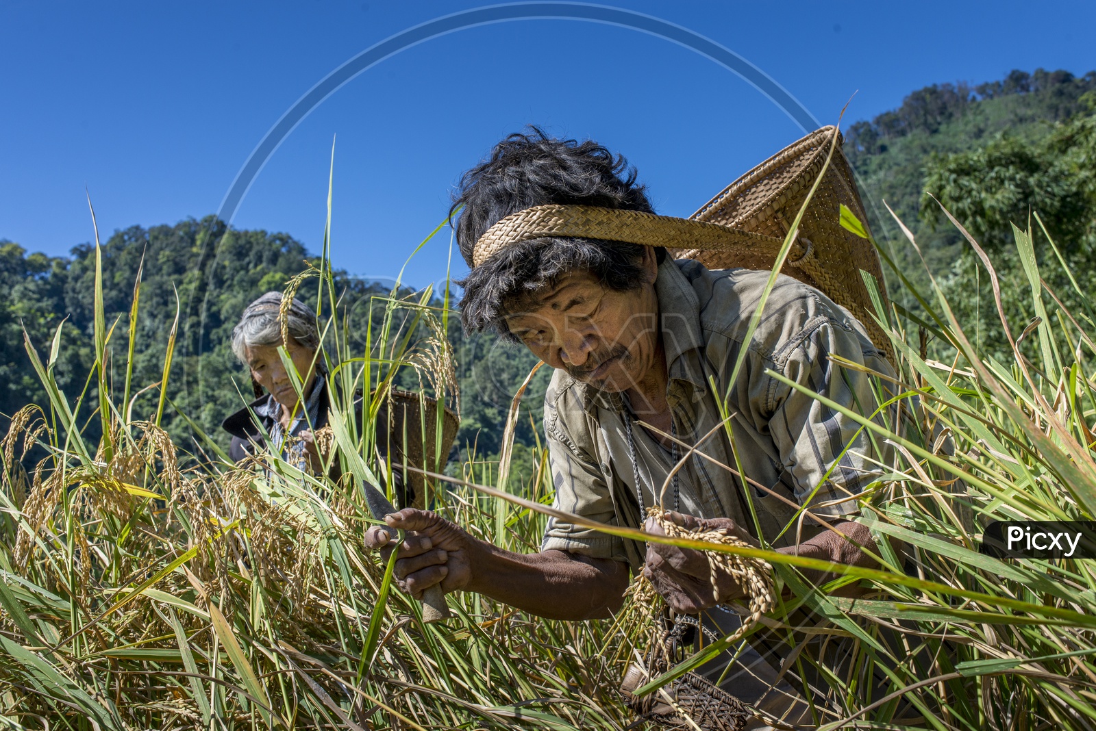 Farmer Taking Rice Grains in Daporijo to Aalo, Bararrupak Village