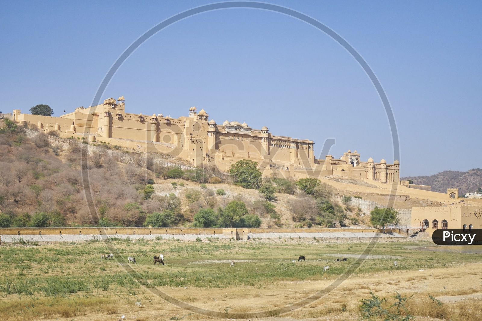 Amer Fort, Forts of Rajasthan