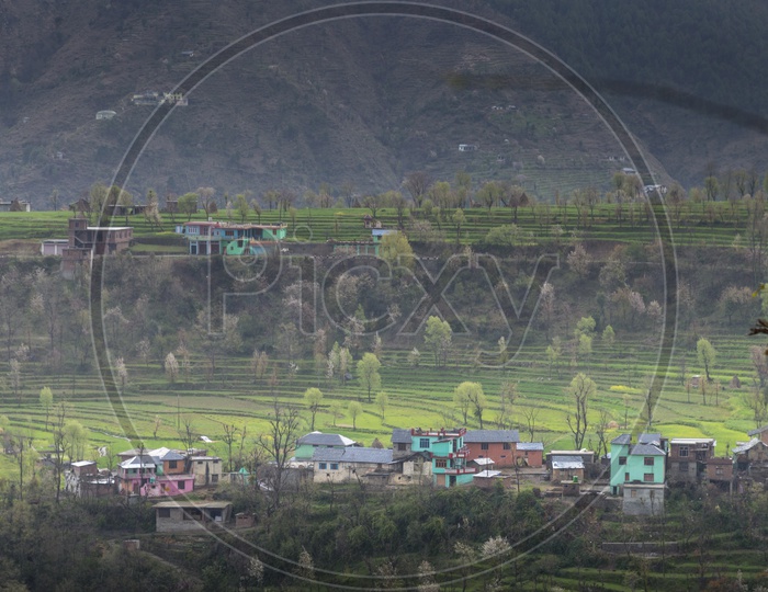 View of Khajjiar, Himachal Pradesh