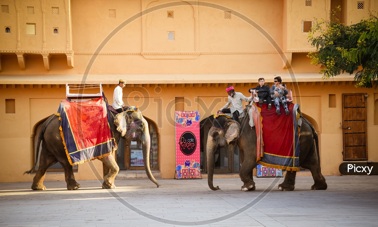 Tourists riding on Elephants inside Amer Fort