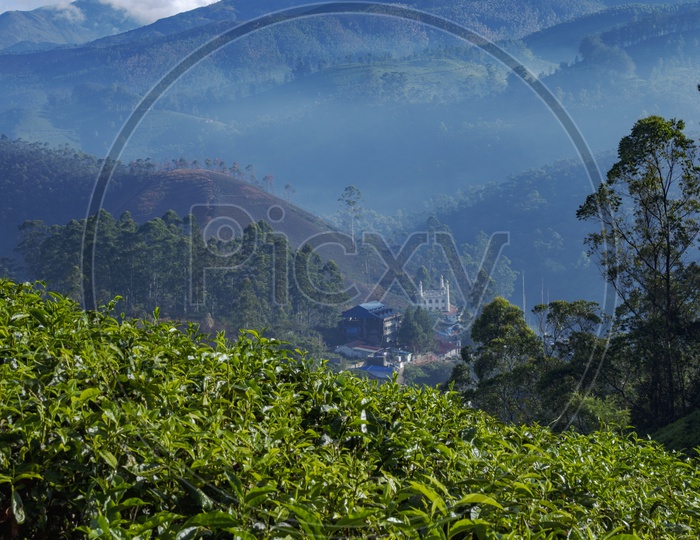A renowned masjid at Munnar Hill Station as seen from a Tea Plantation with Western Ghats in the Background