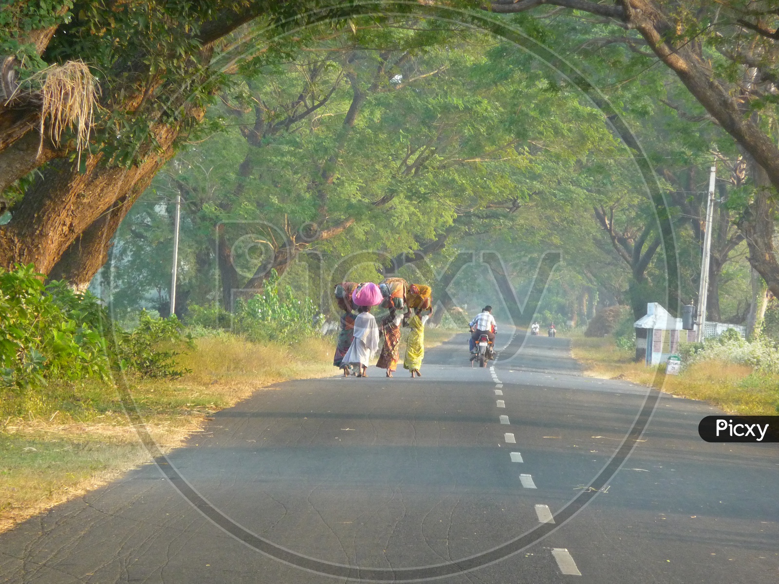 Road to Palakonda