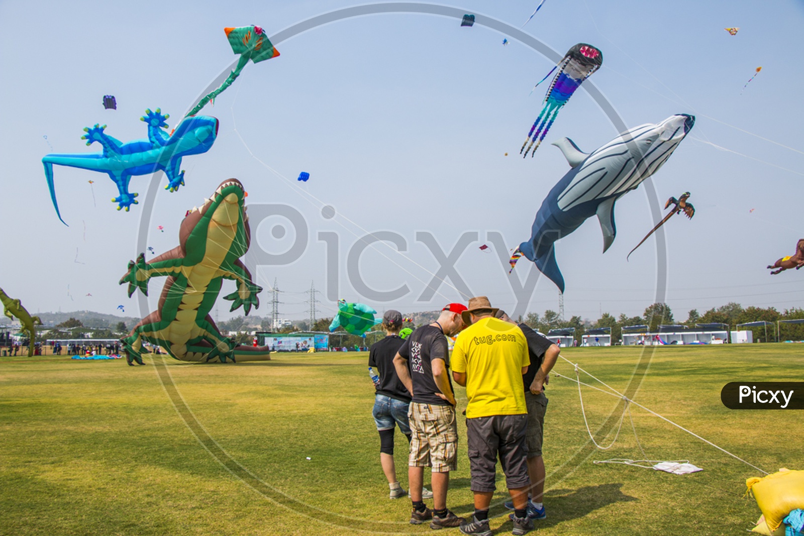 kite festival Hyderabad