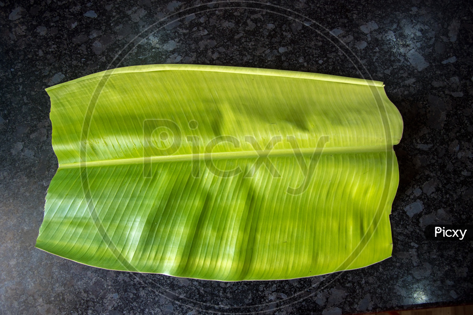 The Banana Leaf in which the meals  is served.