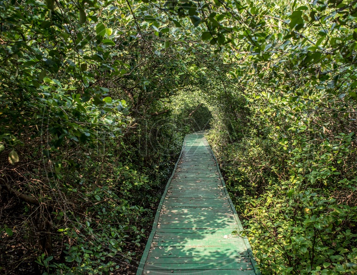 coringa wildlife sanctuary