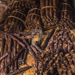 chutta tobacco Image of Handrolled Cigars-EJ336158-Picxy