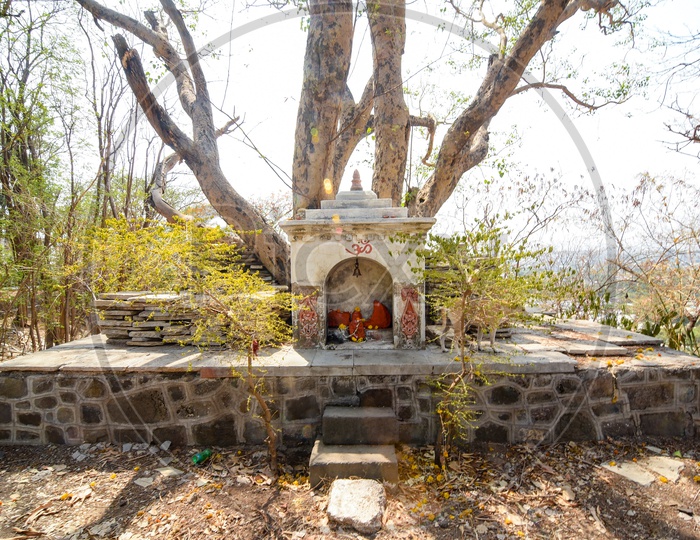 Hanuman Temple below Banyan Tree at  Parvati Hill Complex