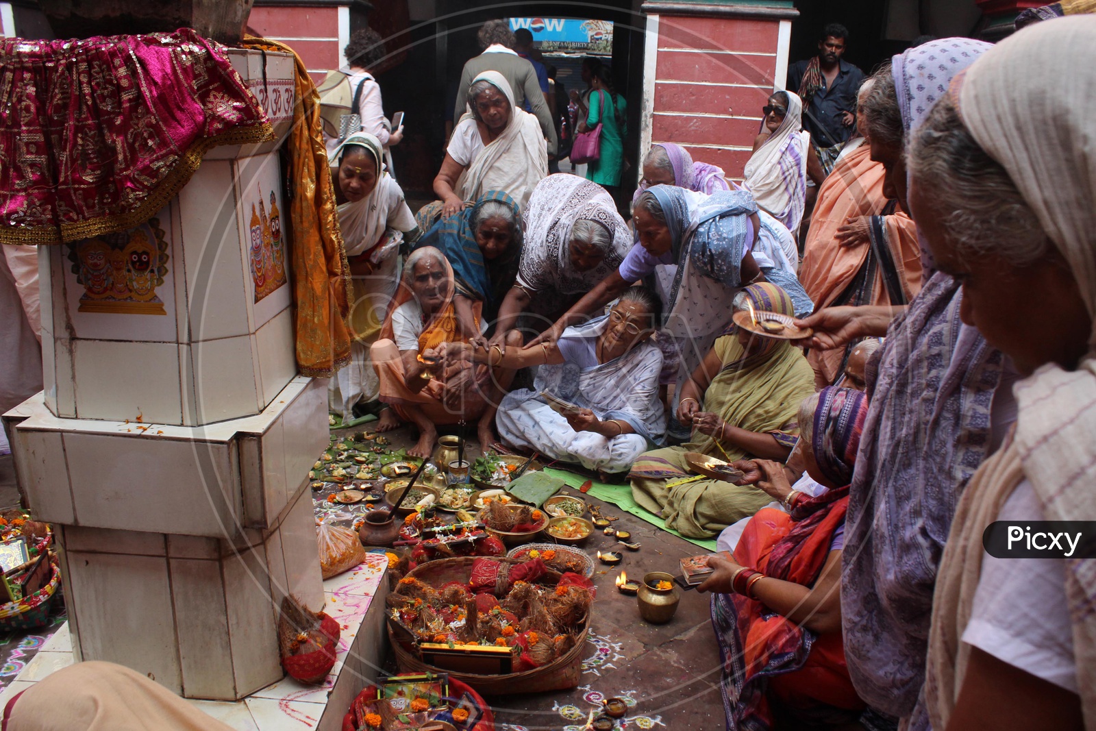 Hindu Widows are worshiping Tulsi Devi, a goodess, worships in the form of plant.