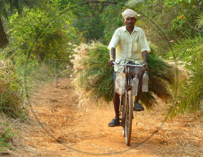 Farmer on Bicycle