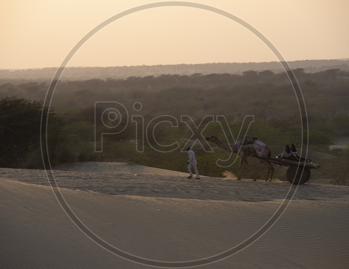 Camel Ride in Thar Desert