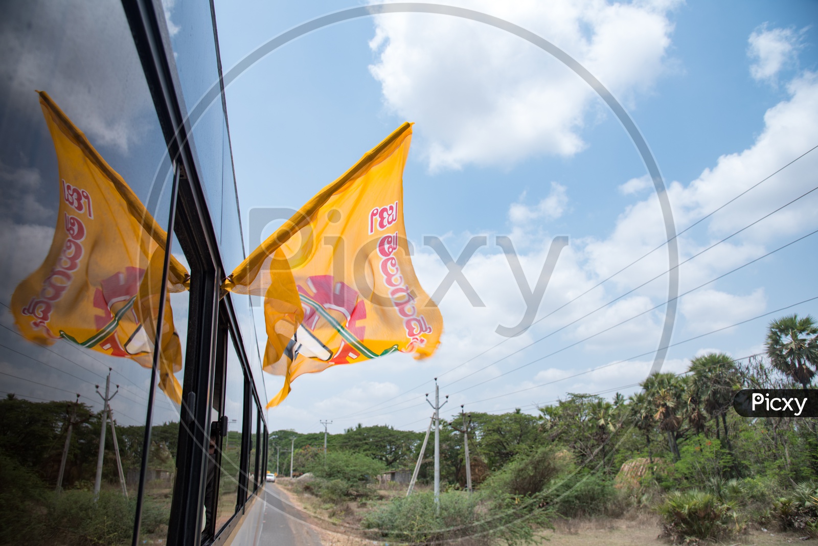 Telugu Desam Party (TDP) Party Flag